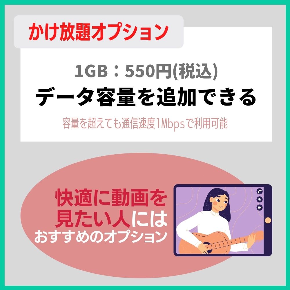 1GB追加オプション