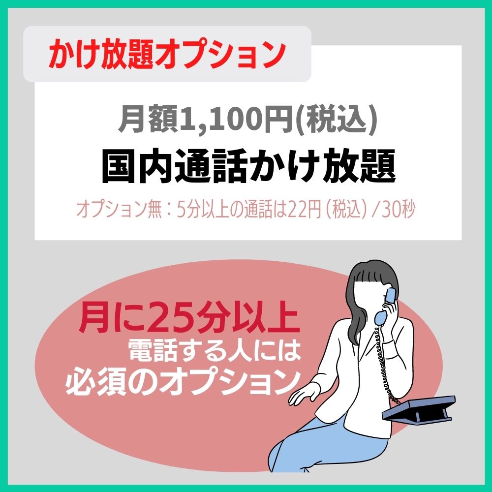 かけ放題オプション